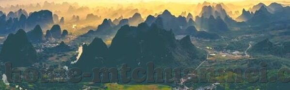 免费观看大象视频-免费观看大象视频，互联网时代的文化交流新窗口