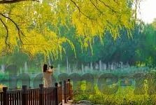 日一区二区三区-城市发展的新篇章，日一区、二区、三区的协同共进